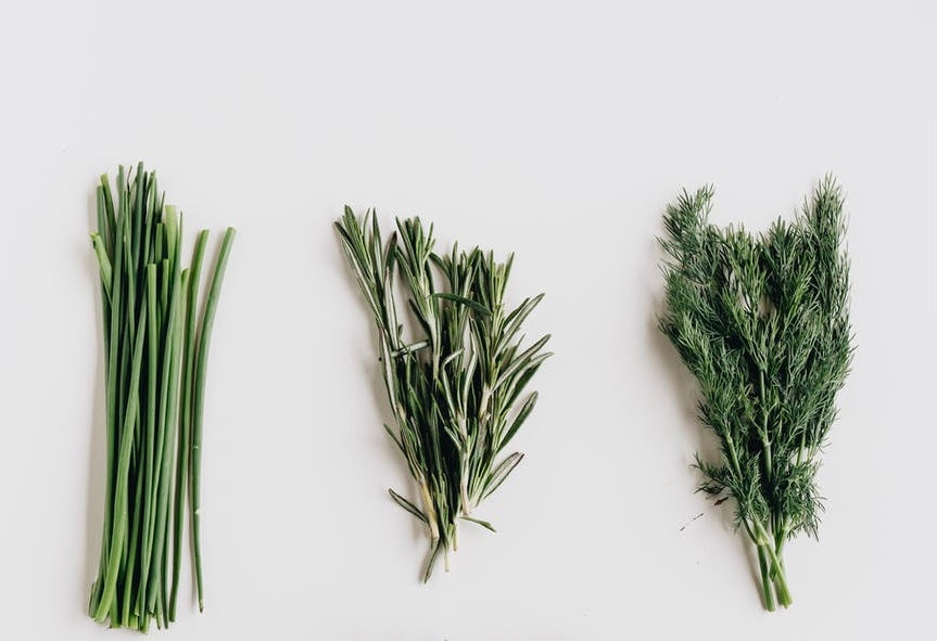 Green healing herbs 
