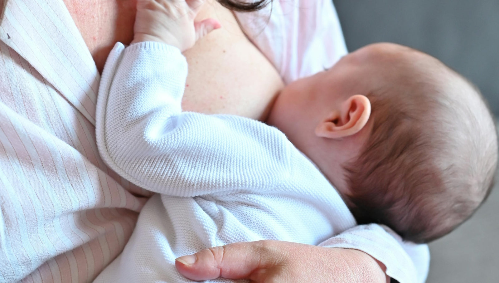 breastfeeding tea, myrtle and maude