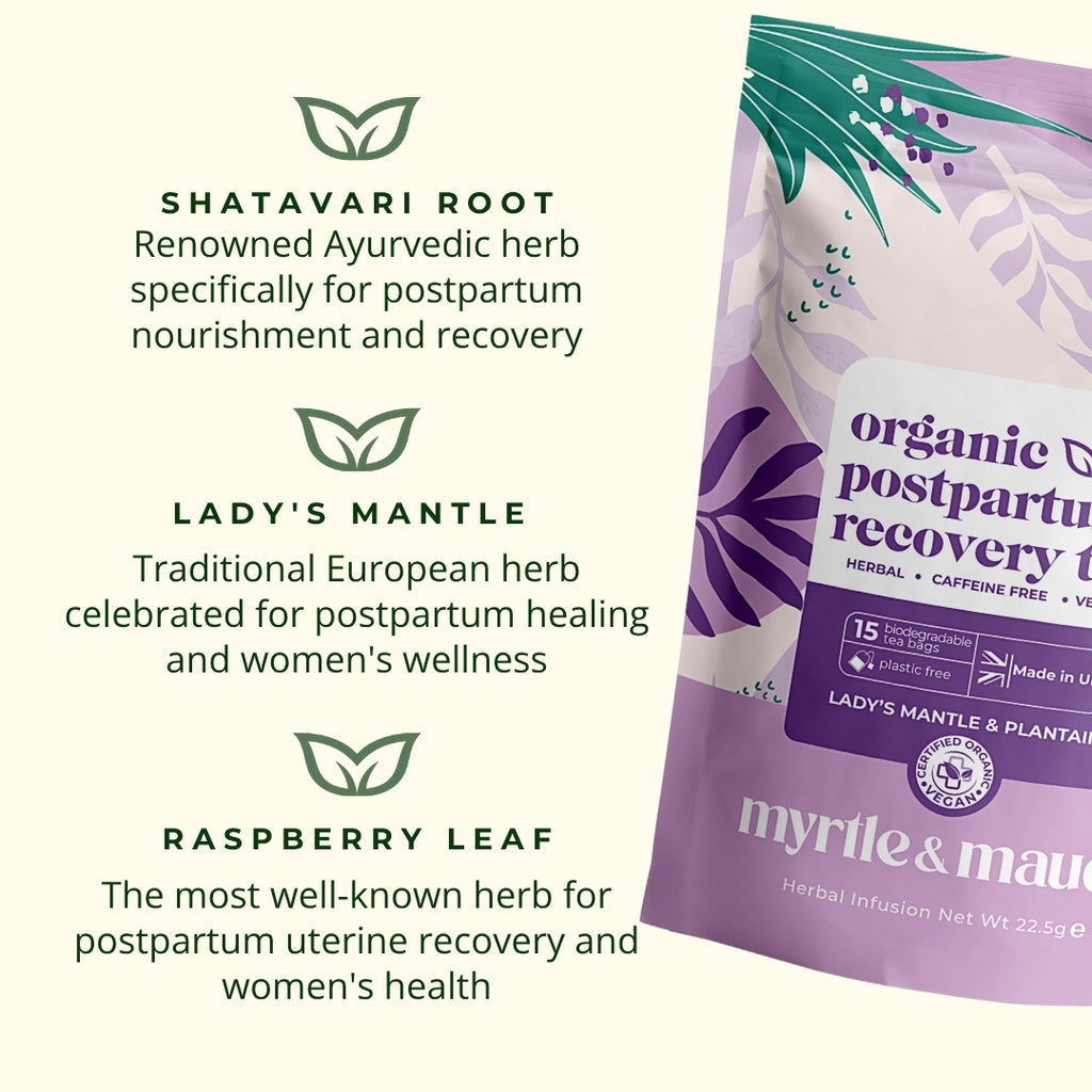 Postpartum recovery tea ingredients: Shatavari Root Ayurvedic herb for postpartum nourishment, Lady's Mantle European herb for postpartum healing, Raspberry Leaf for uterine recovery and women's health - natural postnatal wellness herbs