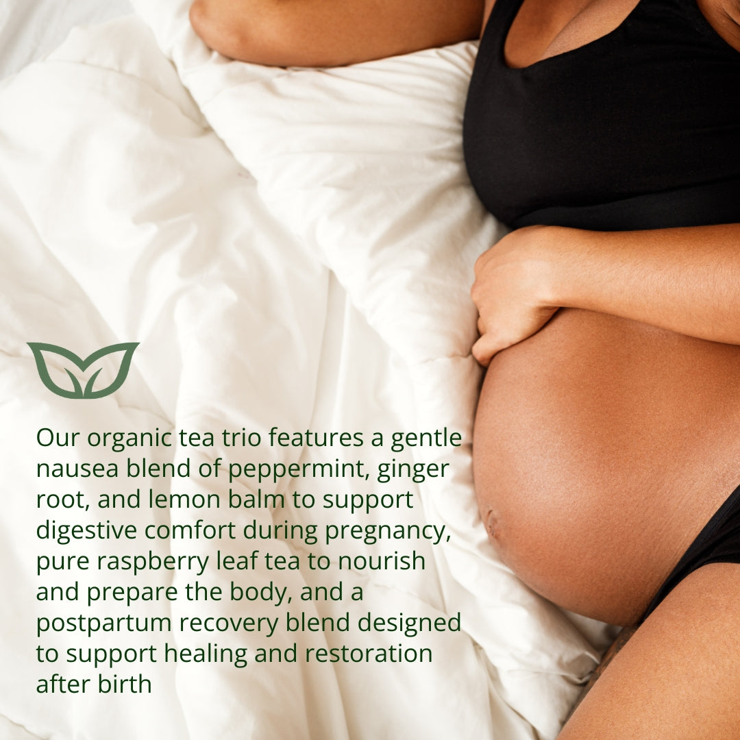 Pregnant woman with organic tea trio featuring peppermint ginger blend for nausea, raspberry leaf for birth prep, postpartum healing herbs