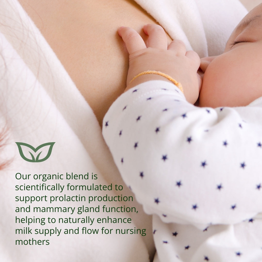 Breastfeeding Baby - Organic Lactation Tea for Natural Milk Supply and Prolactin Support