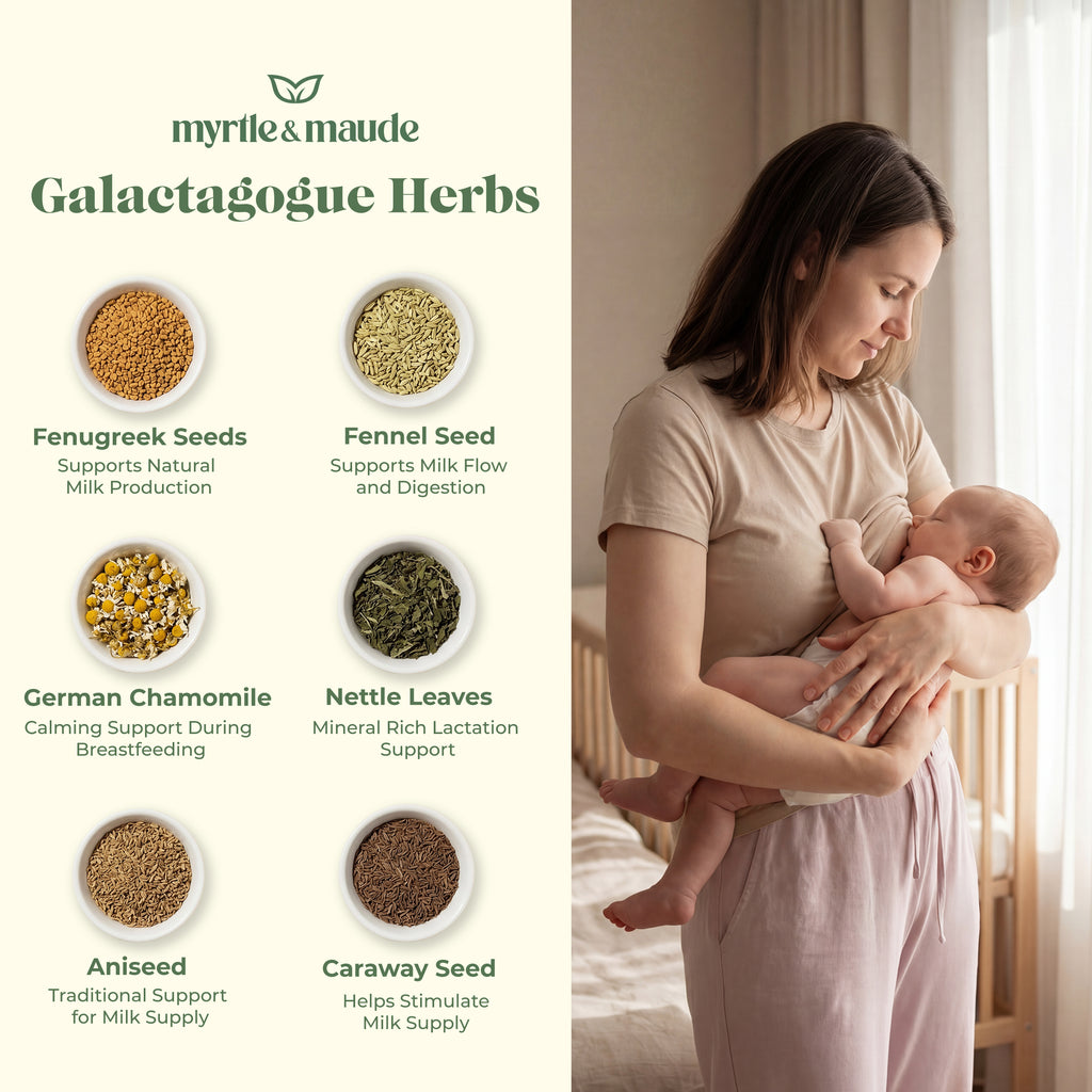 Galactagogue herbs in Myrtle & Maude milkflow breastfeeding tea - fenugreek and fennel seeds support natural milk supply during breastfeeding
